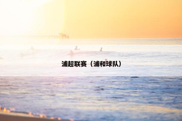 浦超联赛（浦和球队）