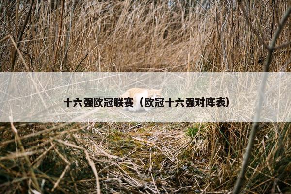 十六强欧冠联赛（欧冠十六强对阵表）