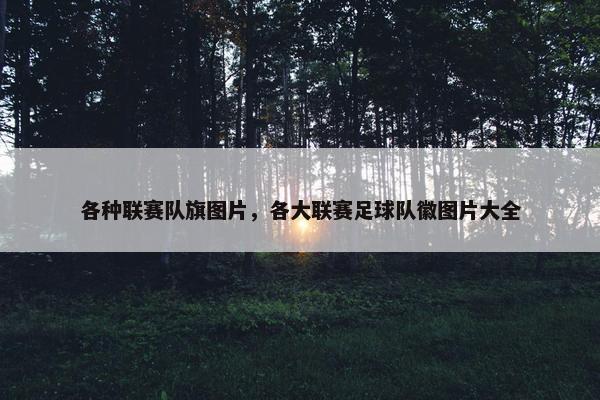 各种联赛队旗图片，各大联赛足球队徽图片大全