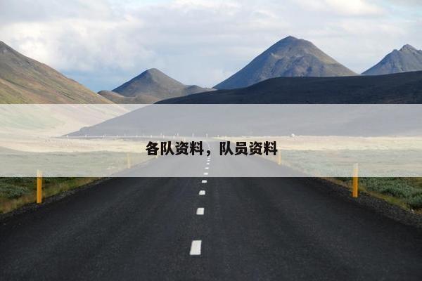 各队资料，队员资料