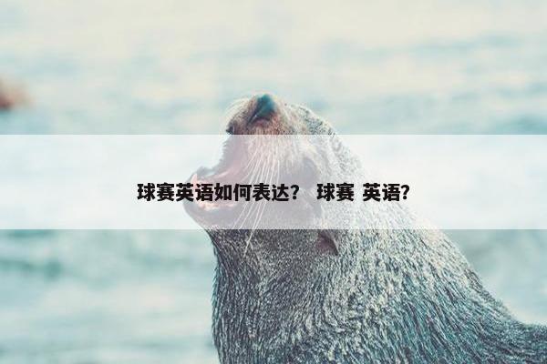 球赛英语如何表达？ 球赛 英语？