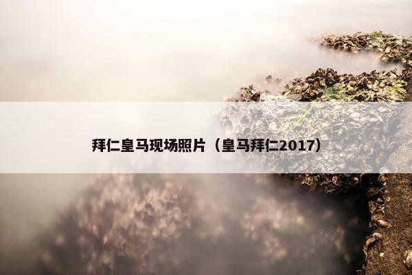 拜仁皇马现场照片（皇马拜仁2017）