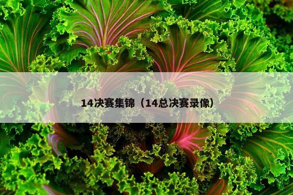 14决赛集锦（14总决赛录像）