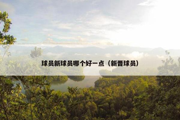 球员新球员哪个好一点（新晋球员）