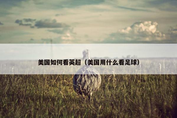 美国如何看英超（美国用什么看足球）