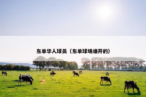 东单华人球员（东单球场谁开的）