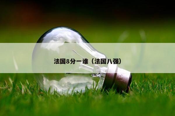 法国8分一谁（法国八强）