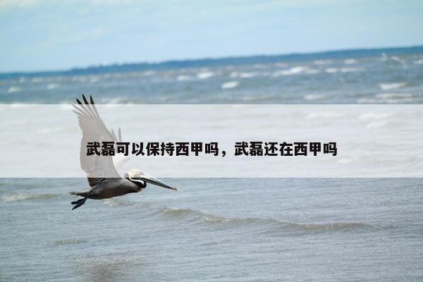 武磊可以保持西甲吗，武磊还在西甲吗