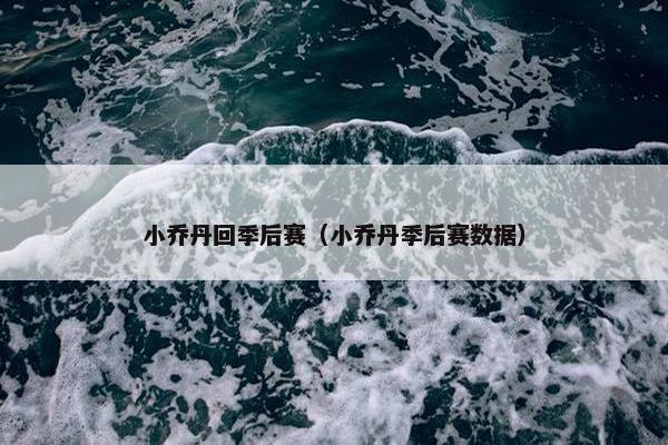 小乔丹回季后赛（小乔丹季后赛数据）
