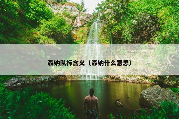 森纳队标含义（森纳什么意思）