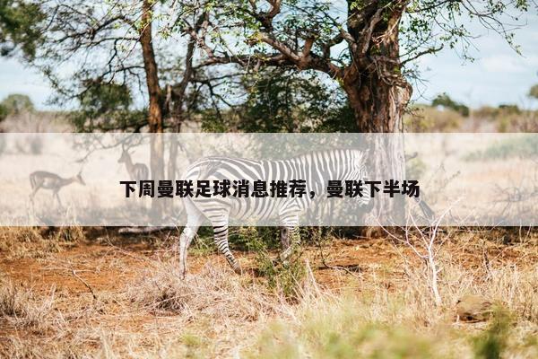 下周曼联足球消息推荐，曼联下半场